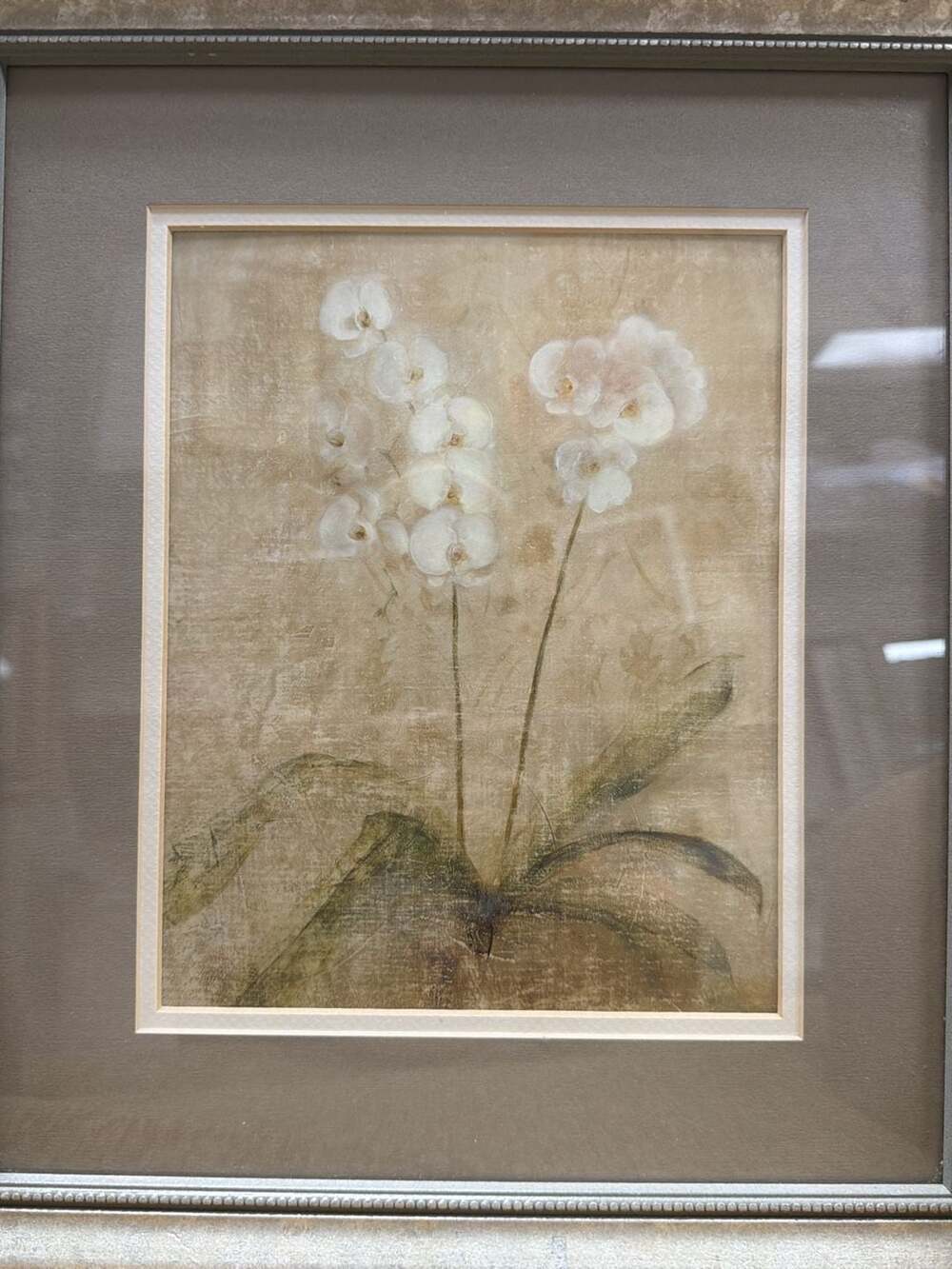 Cheri Blum Narcissus & Orchid Framed Botanical Art Print